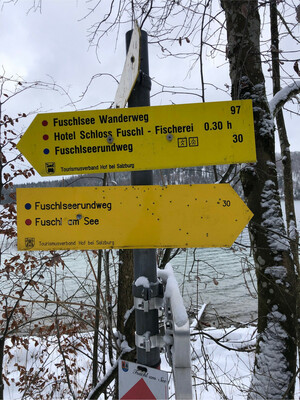 Wanderung Fuschlsee Rundwanderweg Bild 6