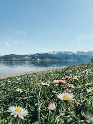 Badeplatz Seezugang Attersee Bild 1