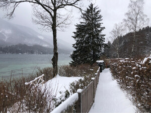 Wanderung Fuschlsee Rundwanderweg Bild 5