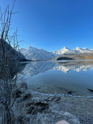 Wanderung Almsee Rundweg Bild 6