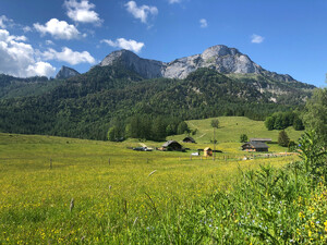 Wanderung Eisenauer Alm Bild 1