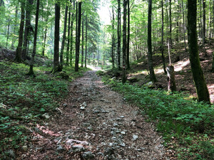 Wanderung Hochlecken Bild 7