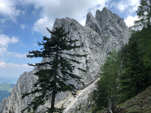 Wanderung Hochlecken Bild 5