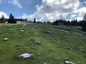 Wanderung Hochlecken Bild 3