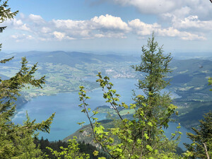 Wanderung Schafberg Bild 2