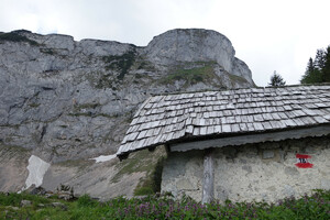 Wanderung Schafberg Bild 8