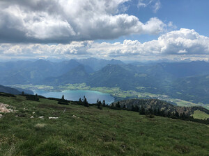 Wanderung Schafberg Bild 7