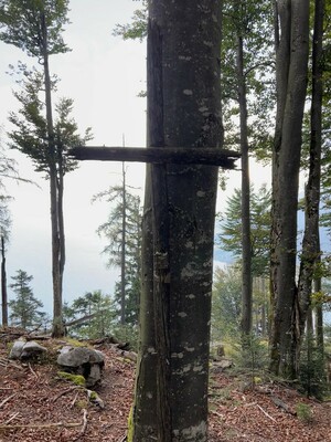 Wanderung Sechserkogel Bild 4