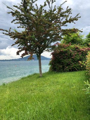 Badeplatz Seezugang Steinwand Bild 1