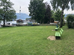 Badeplatz Seezugang Attersee Bild 2