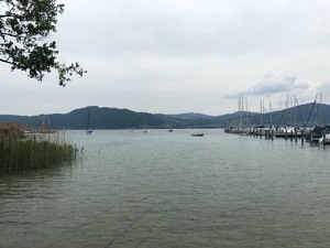 Badeplatz Seezugang Attersee Bild 3