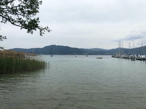 Badeplatz Seezugang Attersee Bild 5