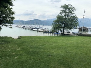 Badeplatz Seezugang Attersee Bild 7