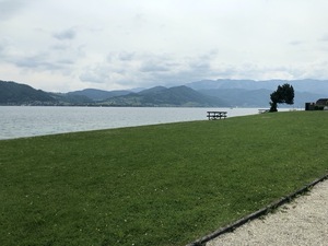 Badeplatz Seezugang Attersee Bild 3