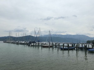 Badeplatz Seezugang Attersee Bild 8