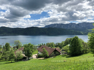 Bild Westwanderweg Zell-Buchenort