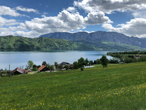 Wanderung Westwanderweg Zell-Buchenort Bild 3